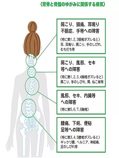 内側健康２.jpg